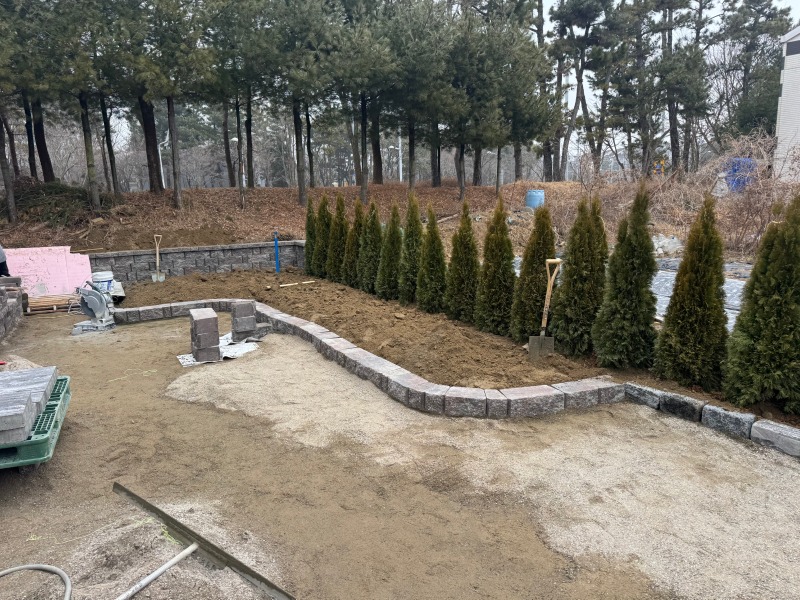 260211.jpg